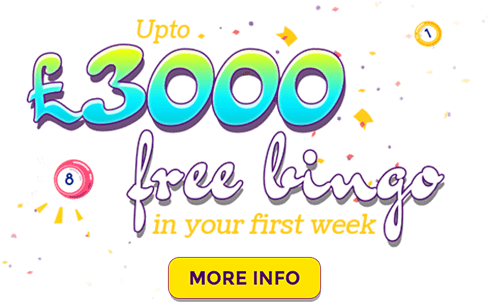 New Players 18 Only - Online Bingo (640x320), Png Download
