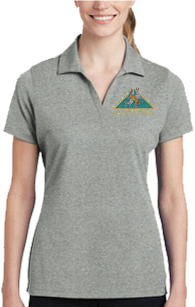 Ladies Polo Wlogo - Sport-tek Ladies Posicharge Racermesh Lst640 (417x600), Png Download