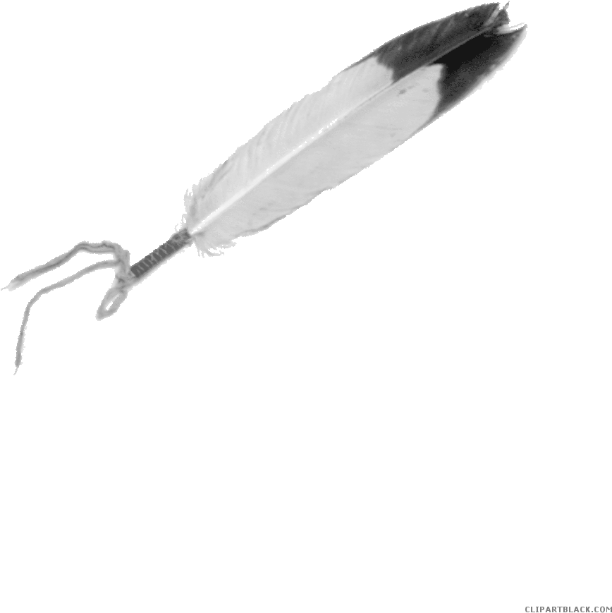 Eagle Page Of Clipartblack Com Animal Free - Eagle Feather (1038x1244), Png Download