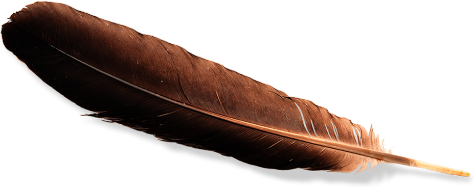 Eagle Feather - Eagle Feather Law (926x389), Png Download