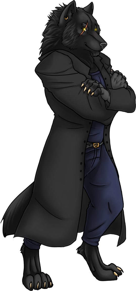 Black Wolf - Illustration (538x1151), Png Download