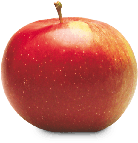 Empire - Empire Apple Png (500x500), Png Download