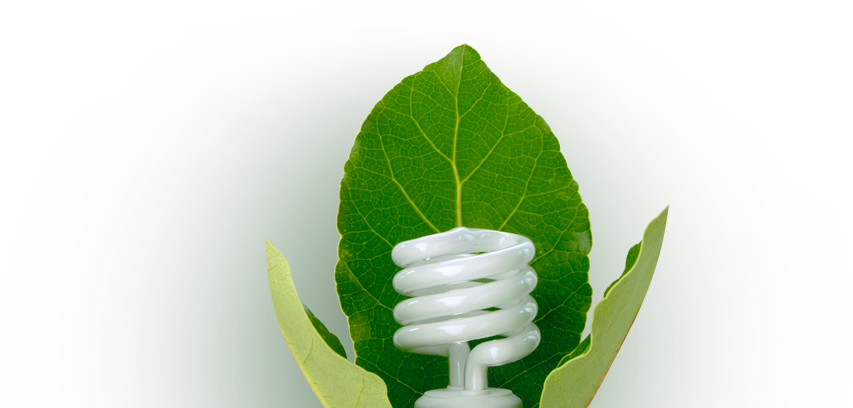 Sustainability-light Bulb - Houseplant (853x408), Png Download