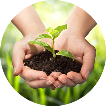 Sustainability Hand (350x350), Png Download
