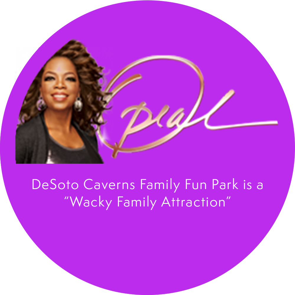 Oprah's Wacky Family Attraction (999x1000), Png Download
