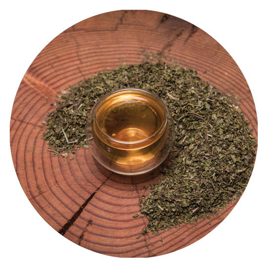 Peppermint (578x578), Png Download
