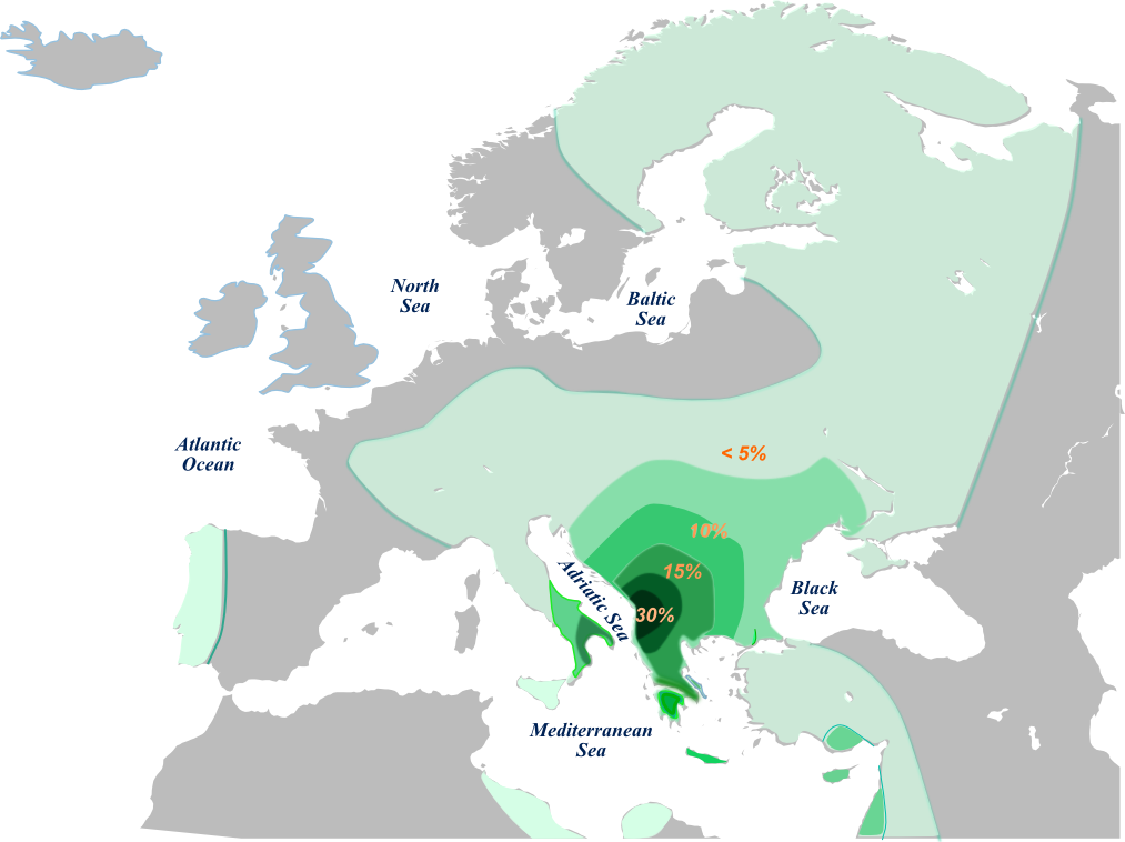 File - Hge1b1b1a2 - V13 Haplogroup (1013x758), Png Download