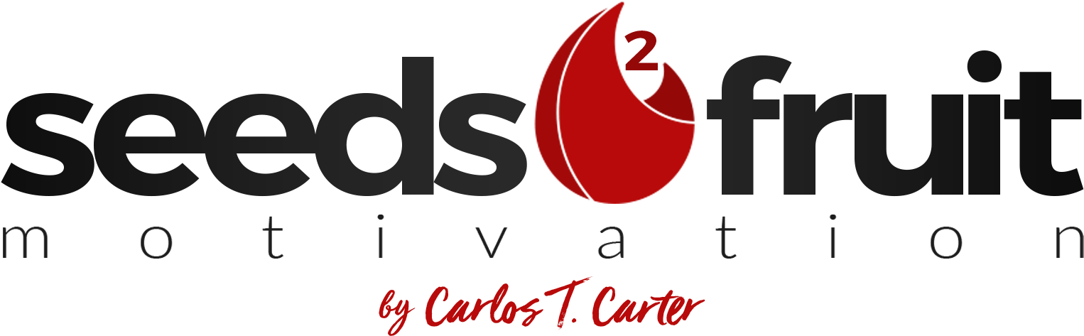 Seeds2fruit Motivation - Motivation (1580x539), Png Download