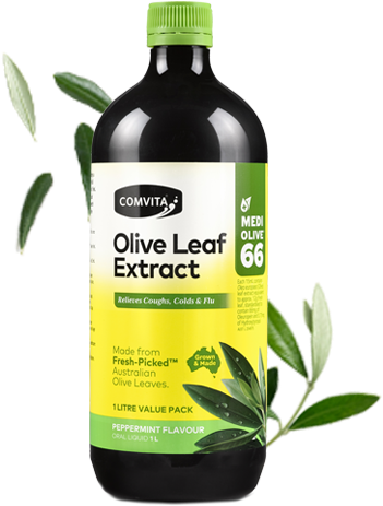 Shop Peppermint Flavour 1l - Olive Leaf Extract 1l (420x480), Png Download