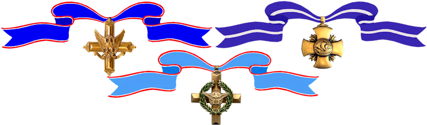 Service Crosses - Medal Of Honor (875x264), Png Download