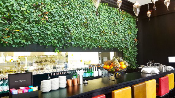 Living Plant Walls - Wall (570x428), Png Download