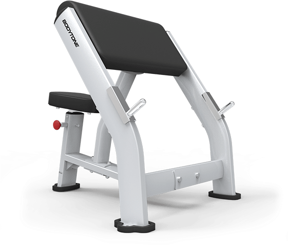 Eb02 Scott Bench Preacher Curl - Banco Predicador De Gym (800x550), Png Download