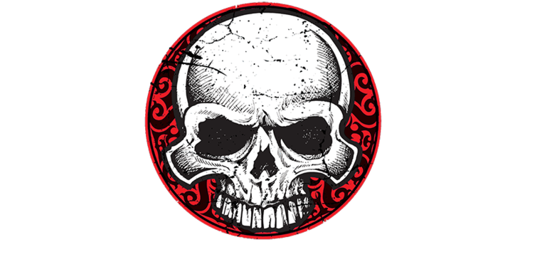 Koolertron Boys Girls 3d Skull Crossbone Print Daypack (800x408), Png Download