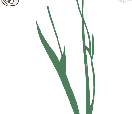 Stem Clipart Long Stem Flower - Flower (640x480), Png Download