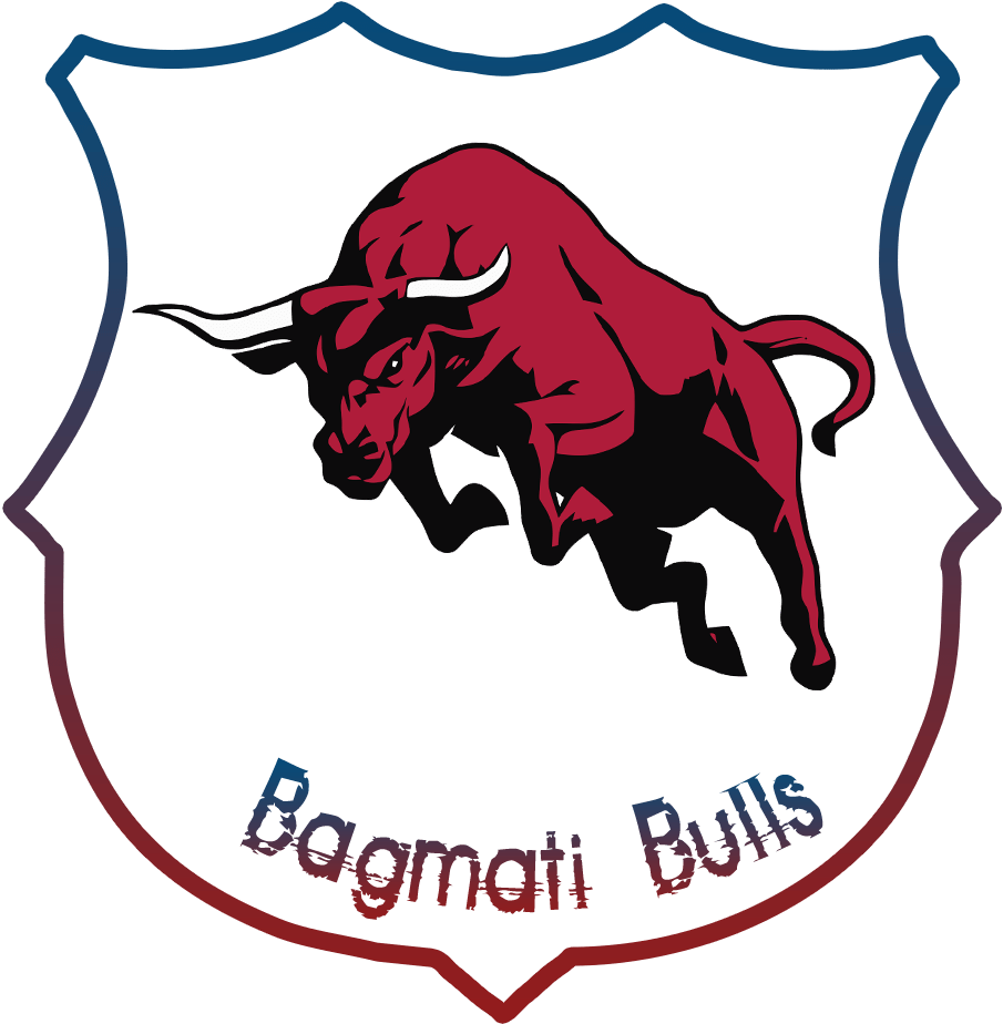 Bull Png (1000x1000), Png Download
