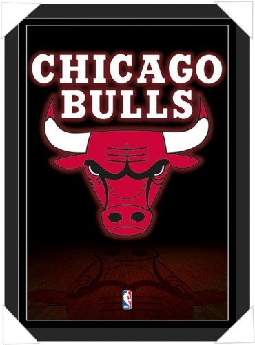 #425 - Chicago Bulls (500x500), Png Download