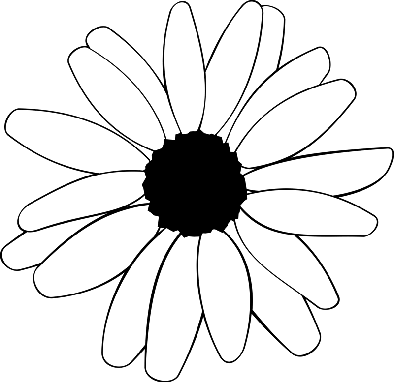 Daisy Outline Png Clip Library Download - White Outline Daisy (800x777), Png Download