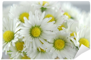 Library (400x400), Png Download