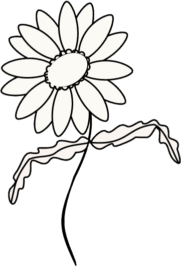 Drawn Daisy Black And White - Safavieh Wall Mirror Mir4017a Chrysanthemum Mirror (678x600), Png Download