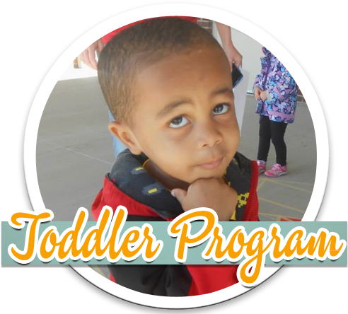 Abc's Toddler Curriculum - Toddler (552x445), Png Download