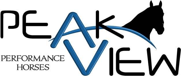 Quality Timed Event Prospects - Horse (800x418), Png Download