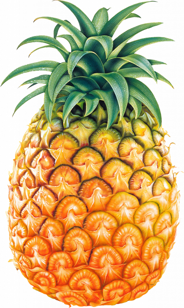 Pineapple Clipart Transparent - Pineapple Png (614x1024), Png Download