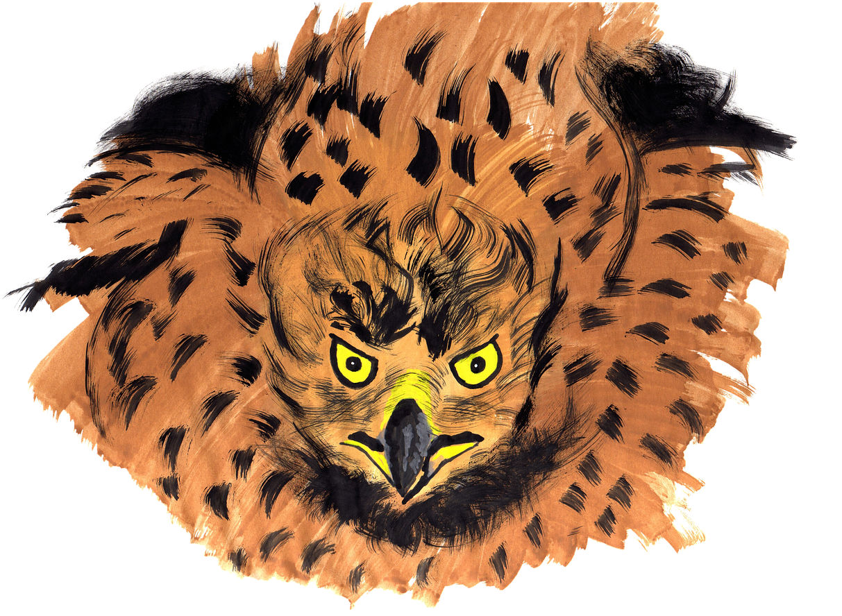 Buzzard Watercolor Isolated - Канюк Звичайний Малюнок Акварелью (1280x961), Png Download