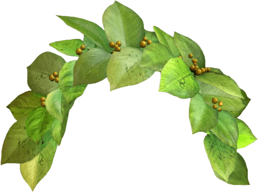 Snapchat Flower Crown Png Image - Snapchat Filters Png Transparent (400x400), Png Download