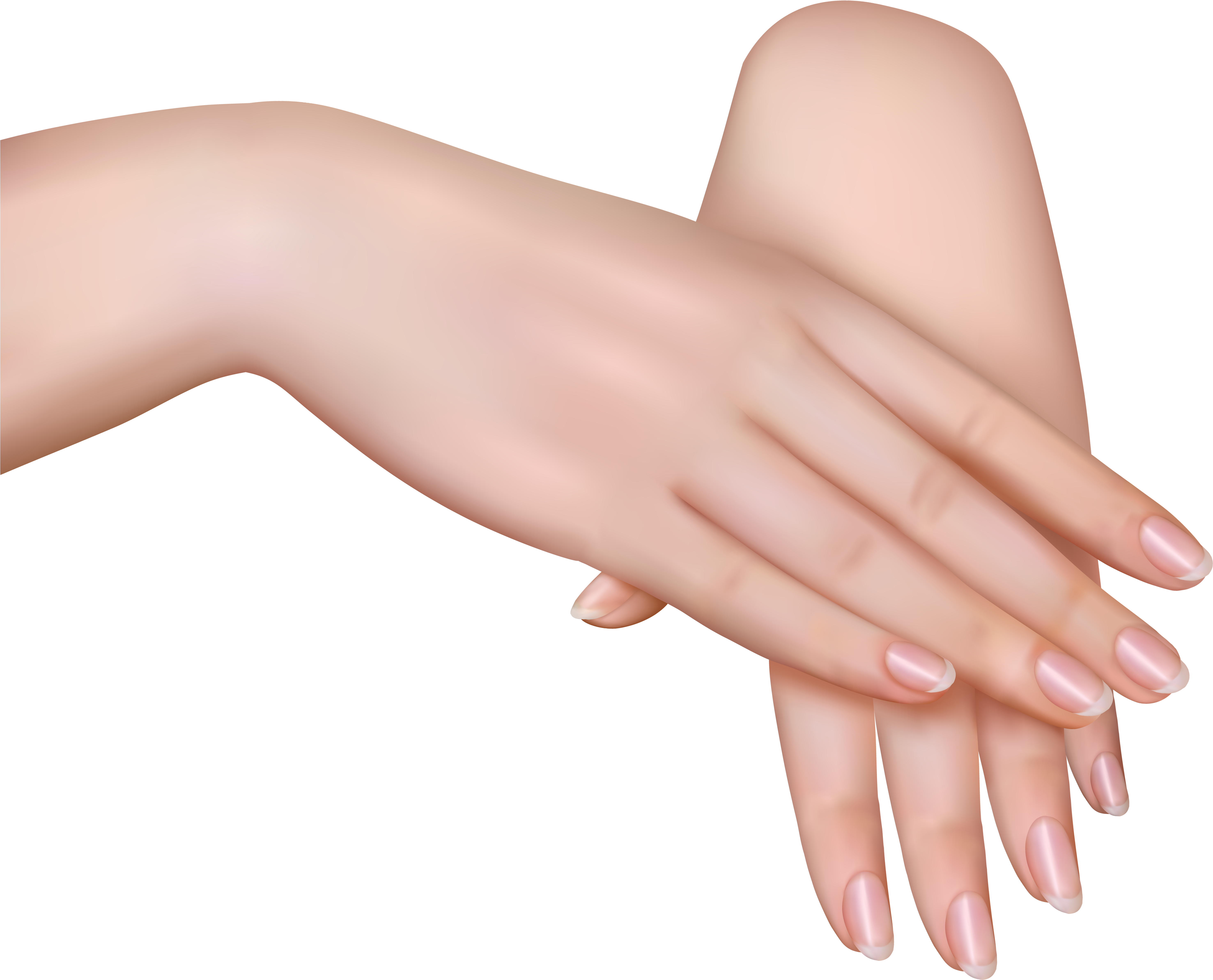 Woman Hands Png (5997x4993), Png Download