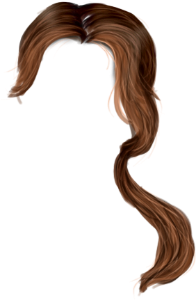Hair Png - Hair (577x452), Png Download