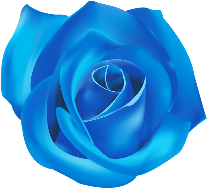 Png Roses - Blue (800x694), Png Download