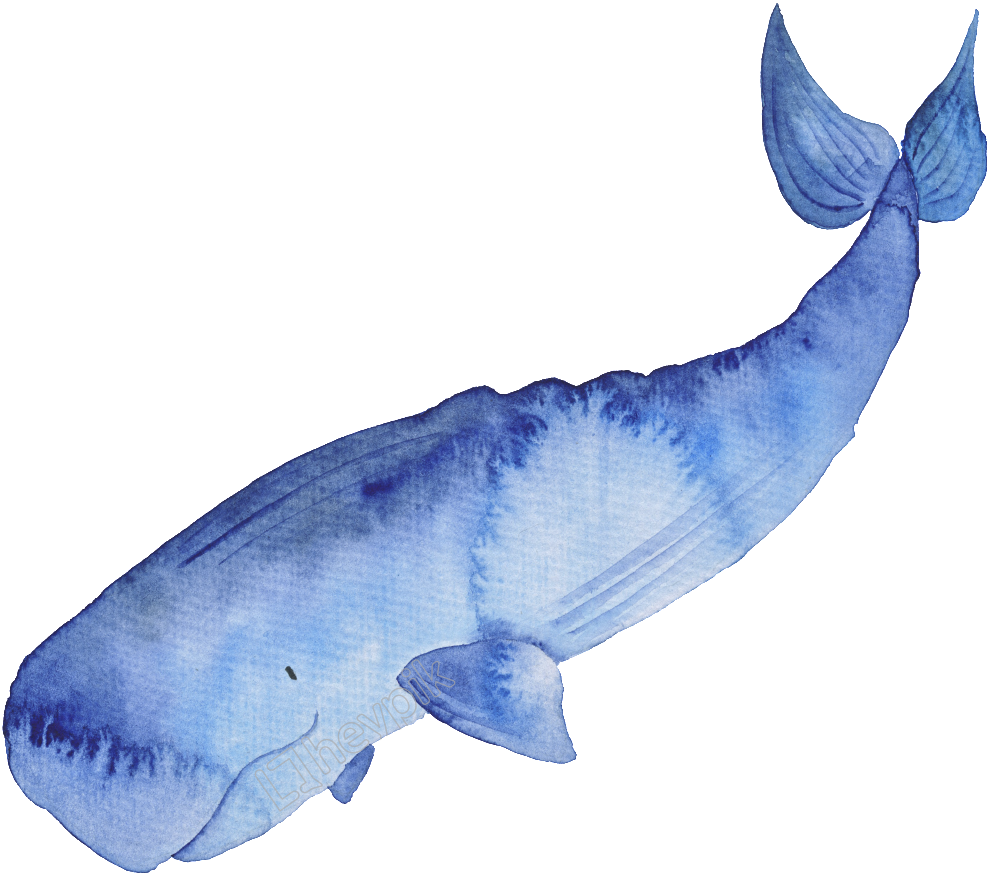 Blue Hand - Whales (1024x1024), Png Download