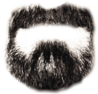 Graphic Royalty Free Download Black Transparent Png - Goatee Transparent (400x305), Png Download