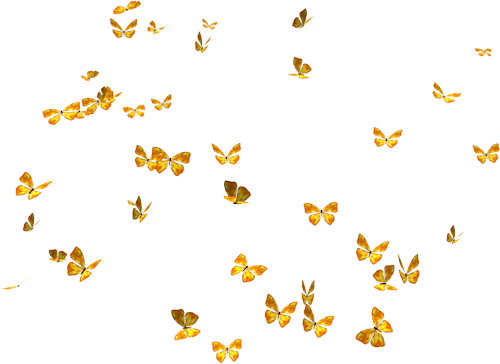 Download Png Clipart - Butterflies Png (500x364), Png Download