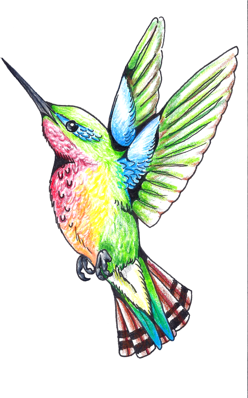Hummingbird Tattoos Png Clipart - Art Design Tattoo Color (900x1355), Png Download