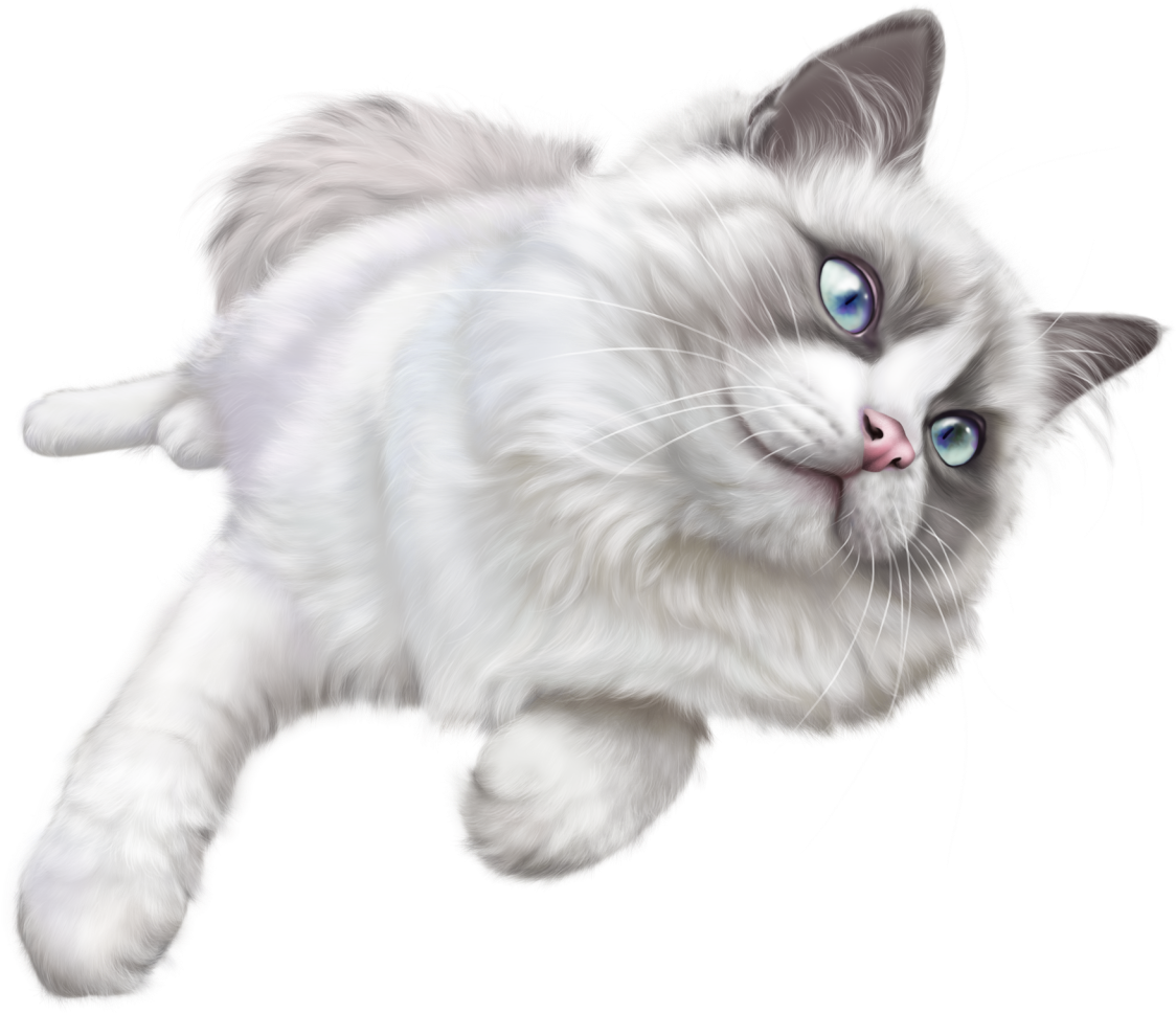 Cat Png Hd - White Cat Png (1024x898), Png Download