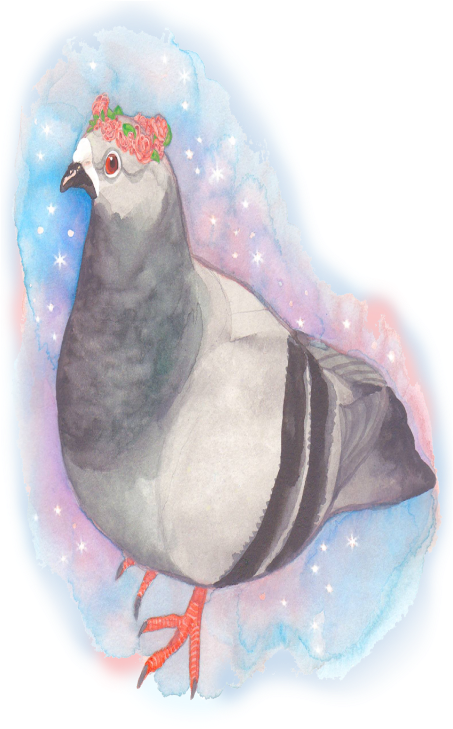 Pigeon (1000x1545), Png Download