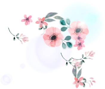 Flower (480x480), Png Download