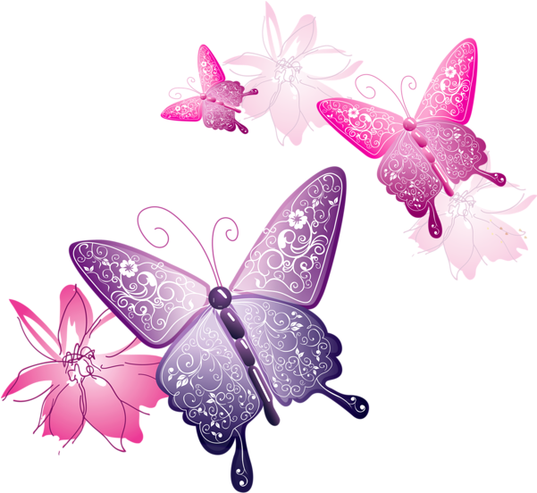 Pink Butterfly - Pink And Purple Butterflies Png (800x751), Png Download