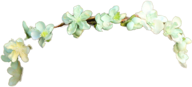 Tumblr Transparent Flower - Transparent Daisy Flower Crown (807x807), Png Download