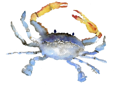 Cornelius The Crab Watercolor - Watercolor Crab Transparent Background (400x305), Png Download