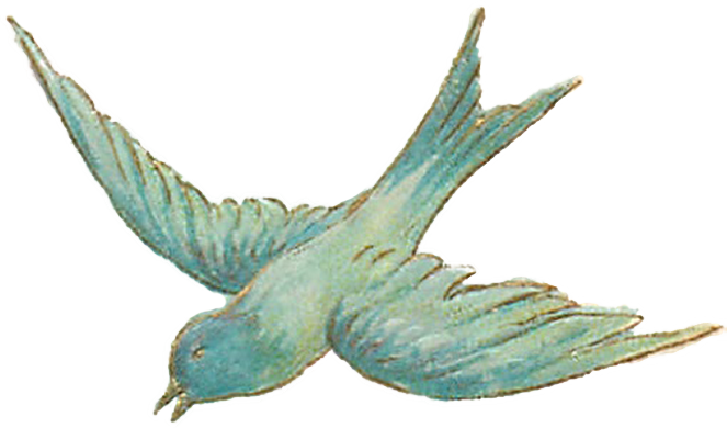 Vintage Bird Illustrations - Vintage Bird Transparent Background (663x390), Png Download