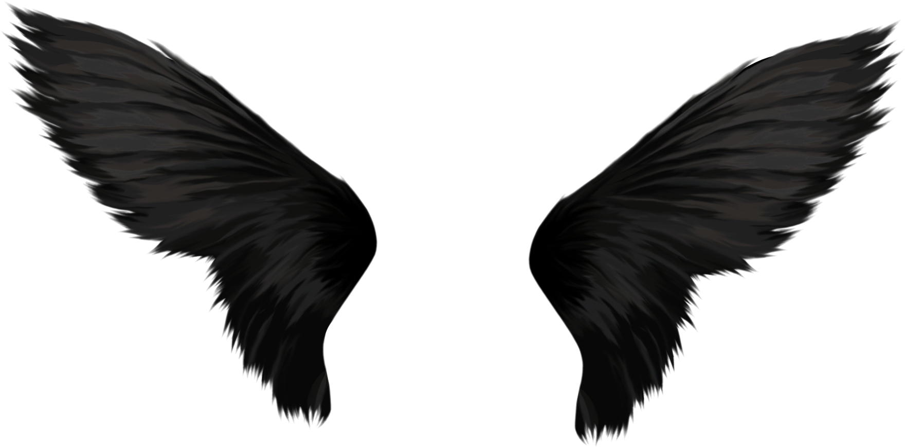 Free Png Black Wings Png Images Transparent - Black Angel Wings Png (850x419), Png Download