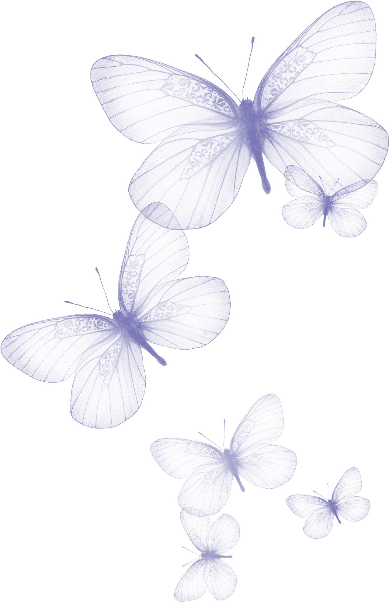 Transparent Butterfly Png Clipart Picture - Butterflies Png (1422x2057), Png Download