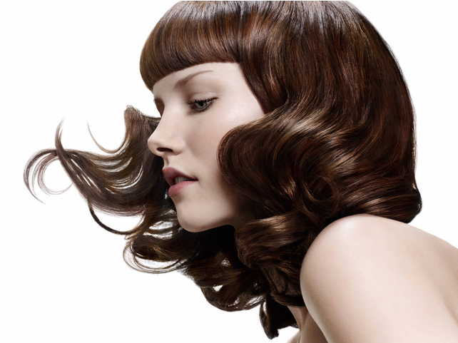 Beauty Salon Png (800x480), Png Download