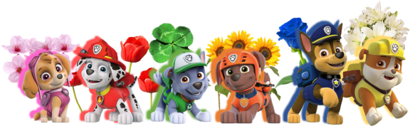 Pawpatrol-600x315 - Paw Patrol Group - Ryder Chase Marshall Rocky Rubble (600x315), Png Download