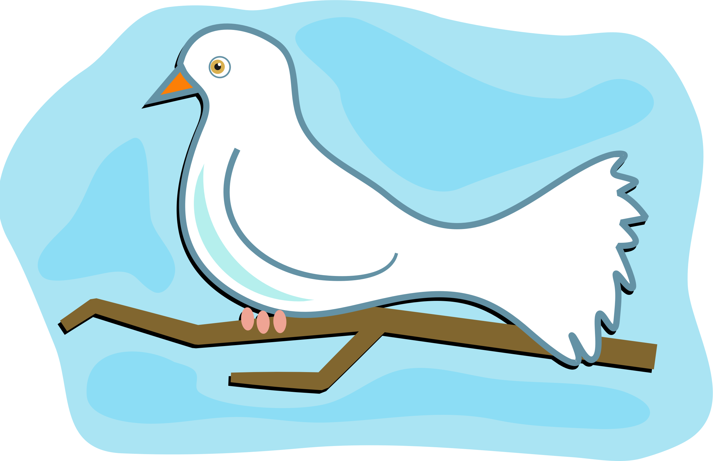 White Dove - Dove Clip Art (800x533), Png Download