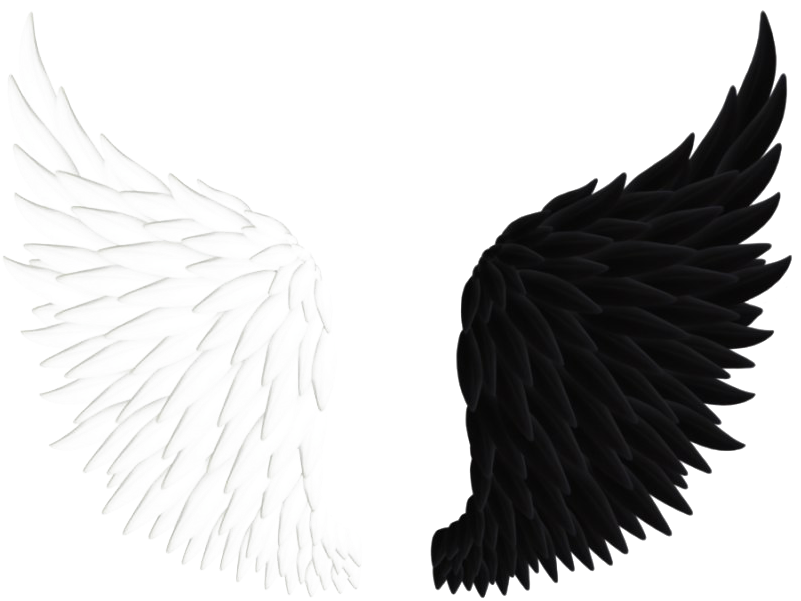 Angels Wings - Angel Wings Black And White Wing (900x667), Png Download