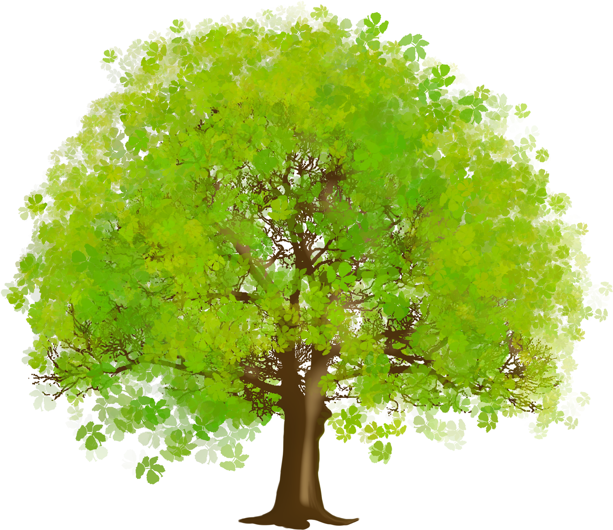 Large Green Tree Png Clipart - Tree Clipart (2000x1738), Png Download