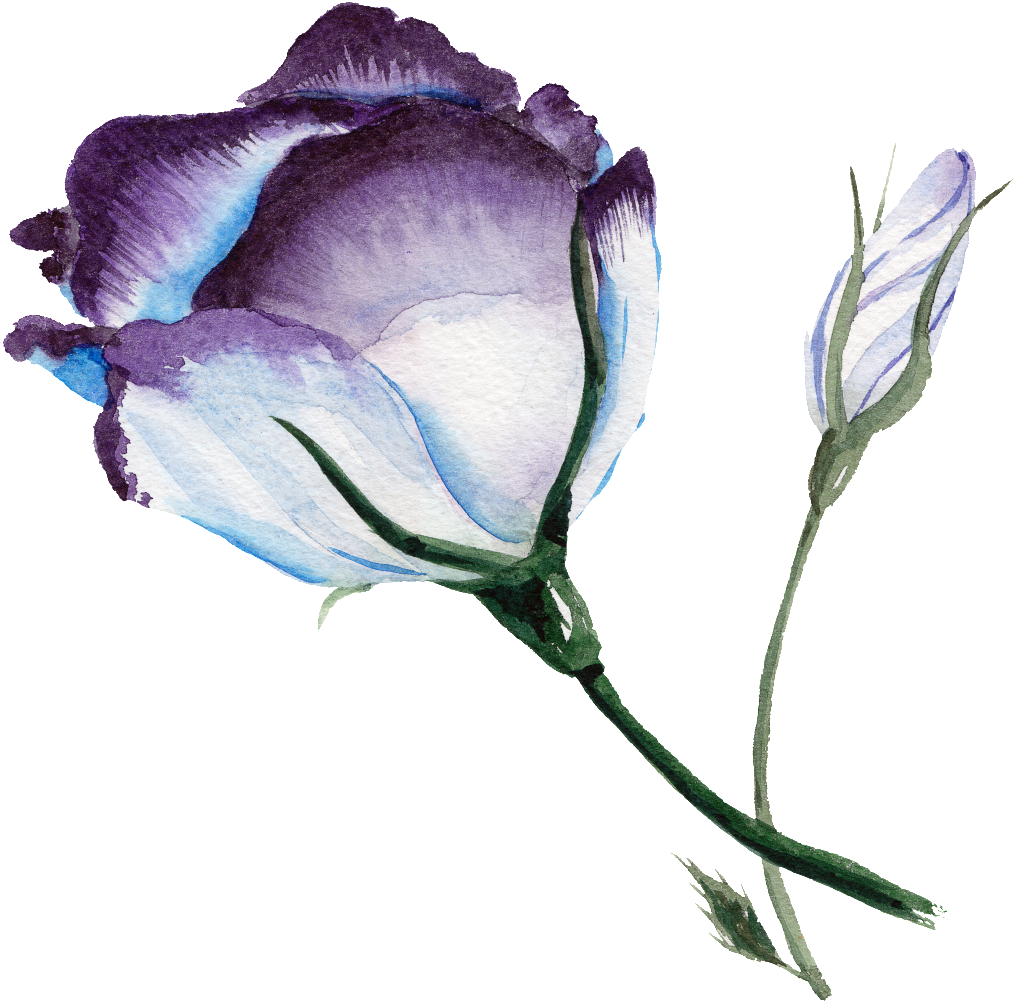 Download Hd Purplish Blue Flower Watercolor Transparent Flower Folder Watercolor Transparent Background Transparent Png Image Nicepng Com